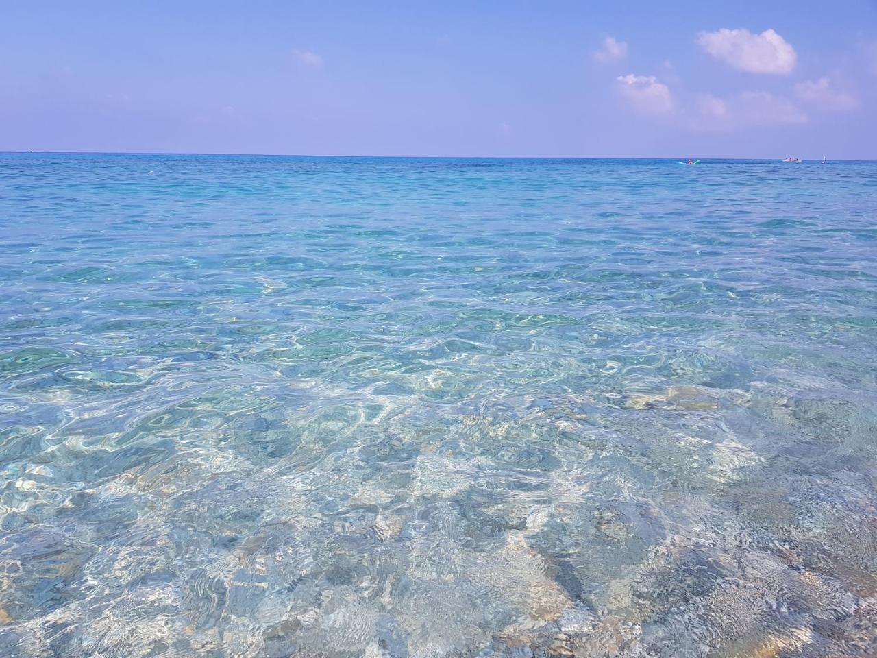 San Carlo - Terrazzo Sul Mare Con Ristorante E Pizzeria Bed & Breakfast Zambrone Bagian luar foto