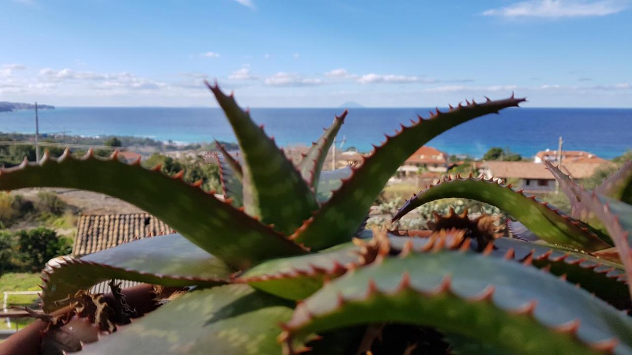 San Carlo - Terrazzo Sul Mare Con Ristorante E Pizzeria Bed & Breakfast Zambrone Bagian luar foto